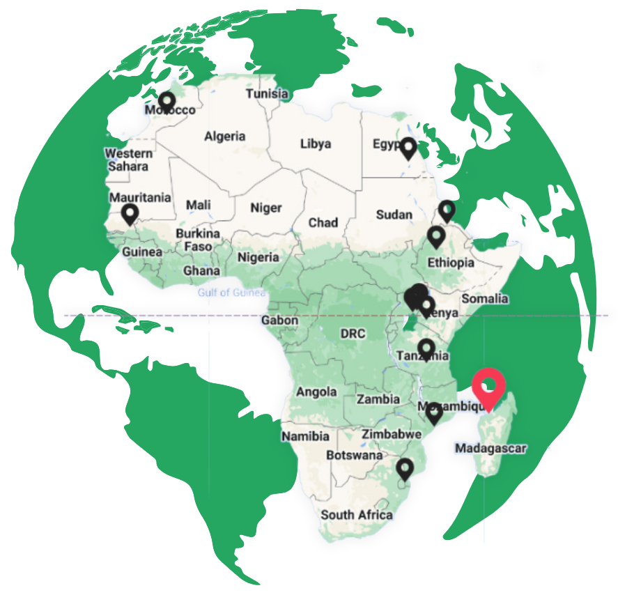 A map detailing the locations of the tree planting projects we have supported so far.