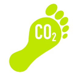 What is a tonne of carbon?